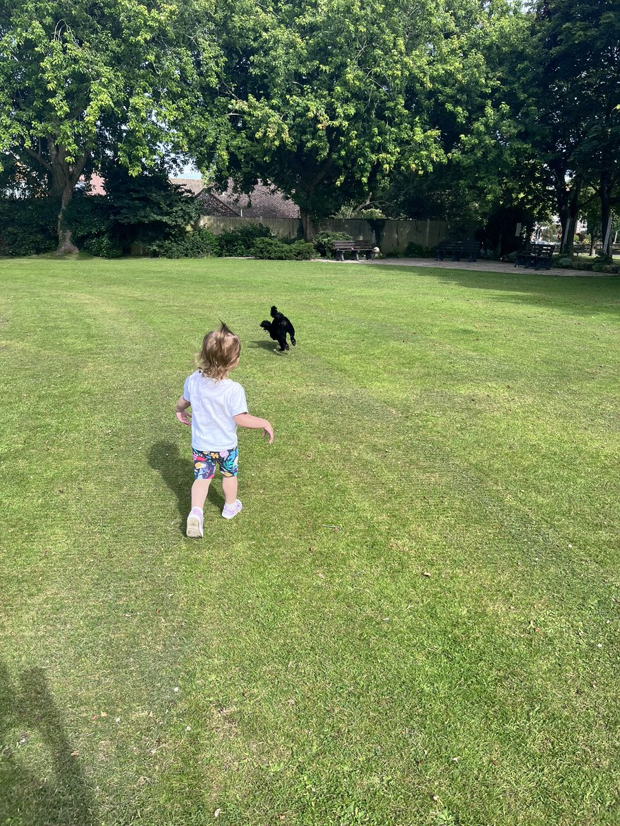 georgiaa1602's tweet photo. Walks with my babies ❤️ https://t.co/90mghqj6X8