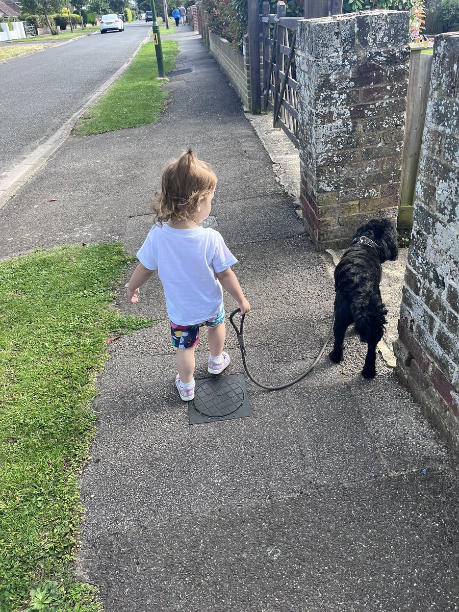 georgiaa1602's tweet photo. Walks with my babies ❤️ https://t.co/90mghqj6X8