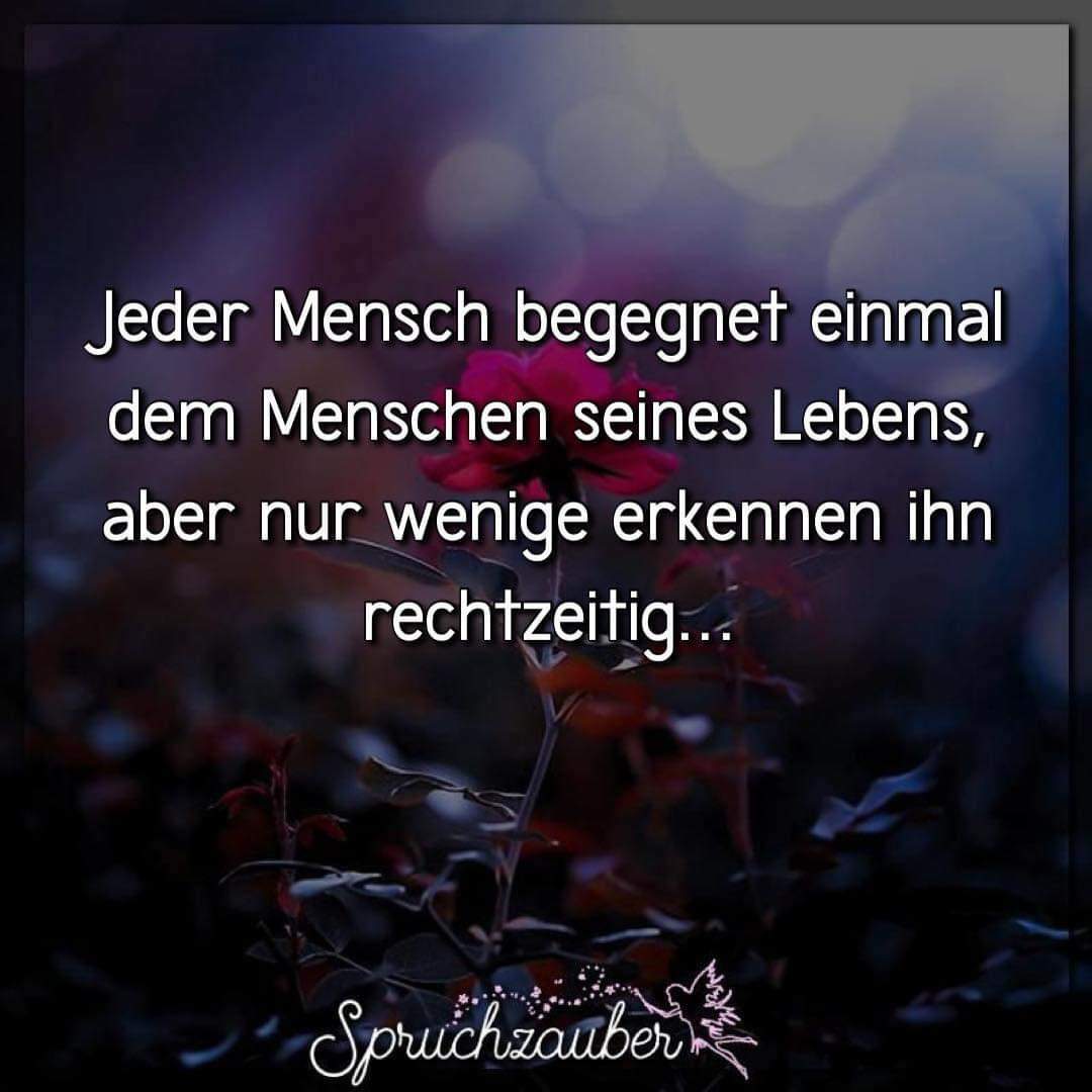 KaBj77's tweet photo. Richtig und das bist Du immer noch....🫶🏻 https://t.co/05vSUuChUz