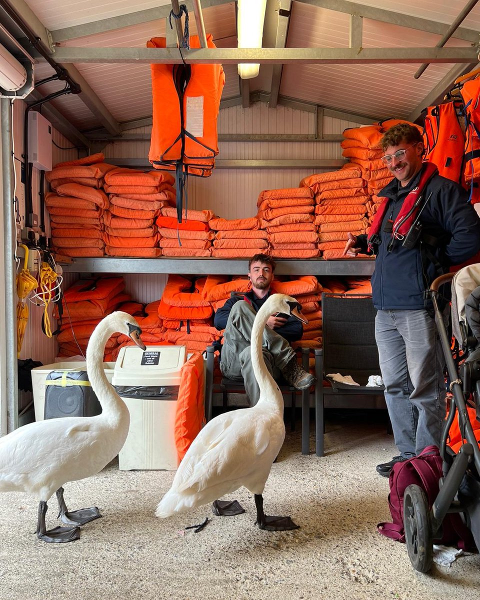 Norfolk BroadsDirect tweet media