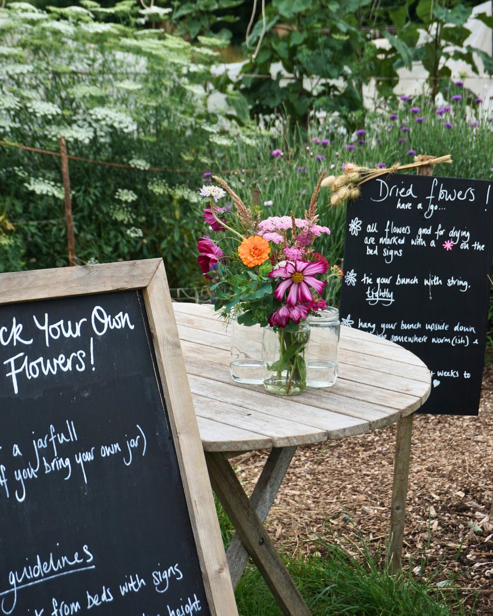 fiveacrefarmer's tweet photo. Visit us every Saturday and Sunday to pick your own flowers 💐

No need to book, head to our farm in Backwell, pick up a jar and snips and enjoy! https://t.co/riRhejVDQ7