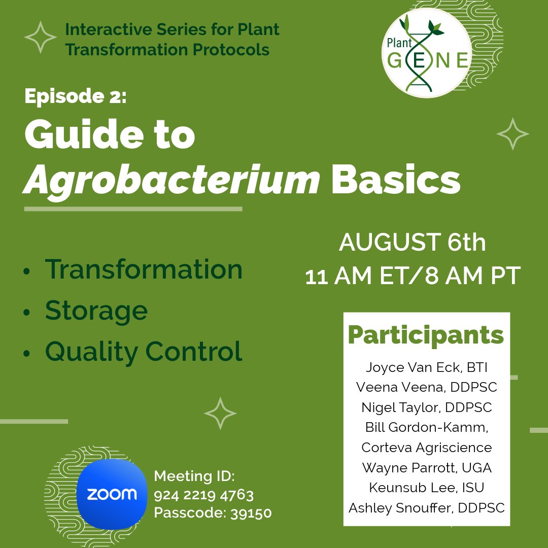 Many steps leading up to plant transformation, including storage and growth conditions of Agrobacterium, can affect the final outcome of your experiment.

Seven speakers will guide attendees through their personal experiences working with Agrobacterium in Episode 2.