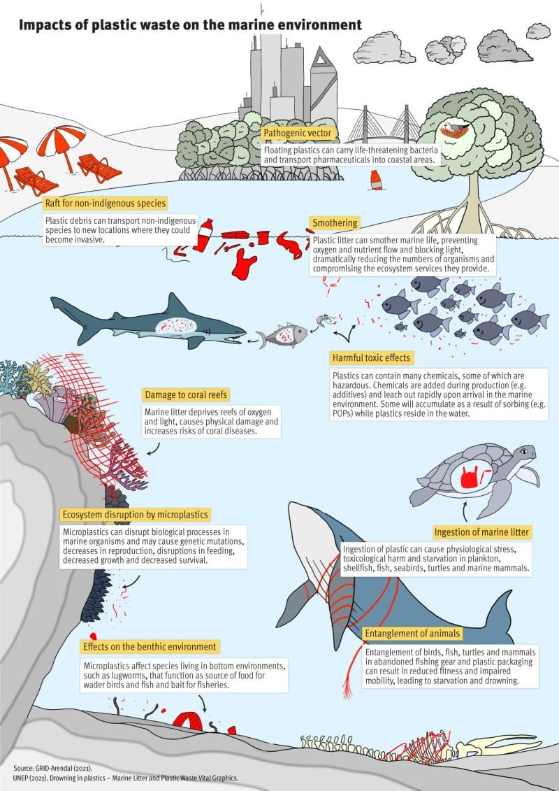 Plastic waste negatively impacts the marine environment in many ways. 🌊

Learn about the importance of keeping plastic out of our oceans in this infographic from <a href="/GRIDArendal/">GRID-Arendal</a>