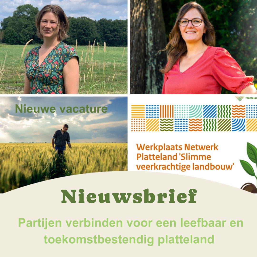 Stimuland_nl tweet media