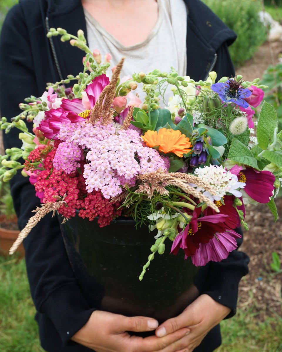 Visit us every Saturday and Sunday to pick your own flowers 💐

No need to book, head to our farm in Backwell, pick up a jar and snips and enjoy!
