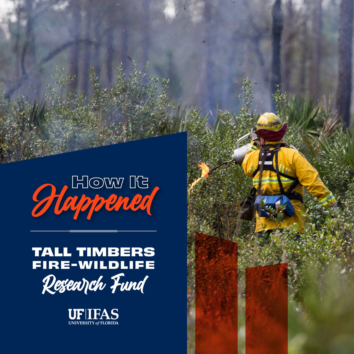 UF IFAS Solutions (@uf_ifas) on Twitter photo .<a href="/talltimbers1958/">Tall Timbers Research Station and Land Conservancy</a> and other supporters of the Tall Timbers Fire-Wildlife fund are expanding <a href="/UFWildlife/">UF IFAS Wildlife</a> #FireEcology research.
How Tall Timbers is helping us train this century's Herbert Stoddards 🔗 go.ufl.edu/a1w6pr1 .<a href="/talltimbers1958/">Tall Timbers Research Station and Land Conservancy</a> and other supporters of the Tall Timbers Fire-Wildlife fund are expanding <a href="/UFWildlife/">UF IFAS Wildlife</a> #FireEcology research.
How Tall Timbers is helping us train this century's Herbert Stoddards 🔗 go.ufl.edu/a1w6pr1