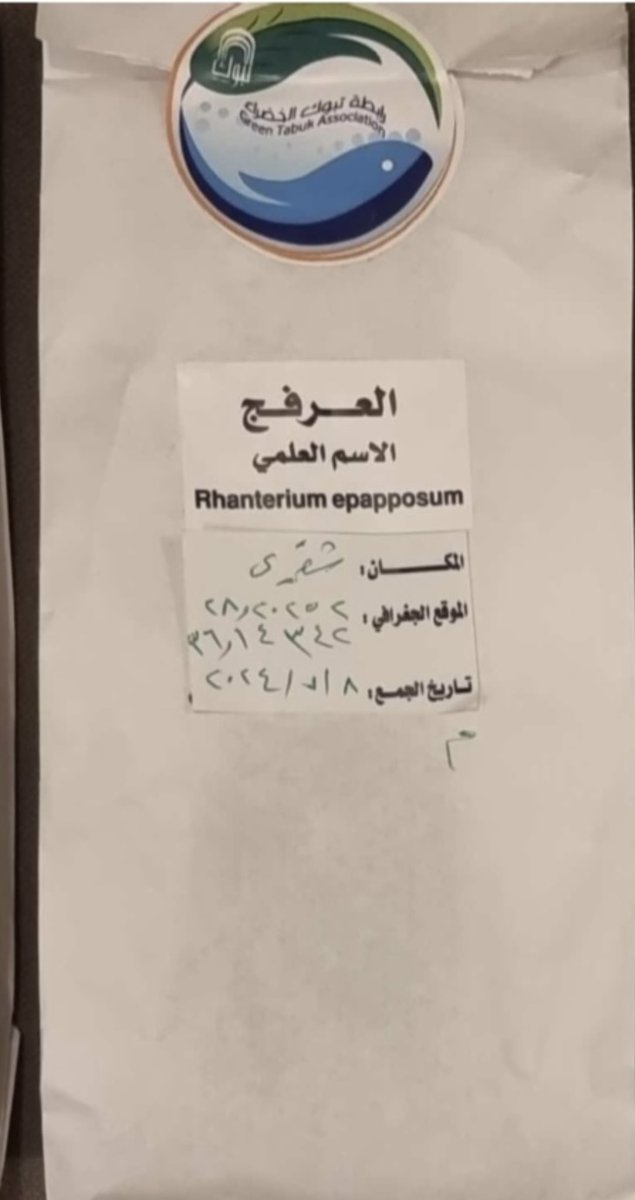 Env_life's tweet photo. عينات للبذور التي تم جمعها بعد تنقيتها وفرزها وحفظها بطريقة علمية بحيث تبقى صالحة للاستخدام. وهي (العرعر - الرتم- العرفج- العهينة البرية) مع تحديد المكان واحداثيات الموقع الجغرافي

#تبوك_الخضراء #تبوك #مبادرة_السعودية_الخضراء
#العمل_التطوعي https://t.co/5hENf8vzSO