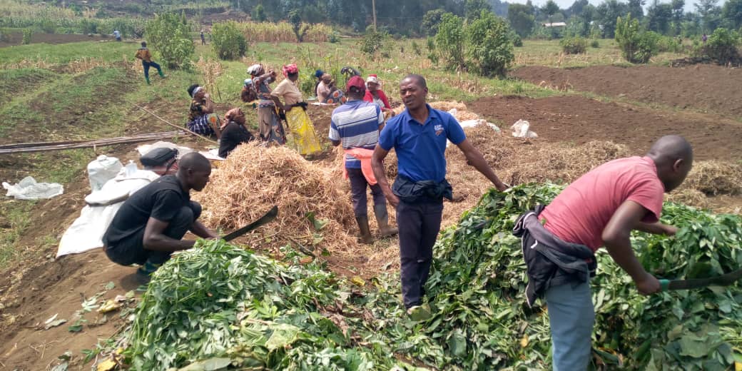 Farmers' Potato Academy (FPA) in Rwanda tweet media