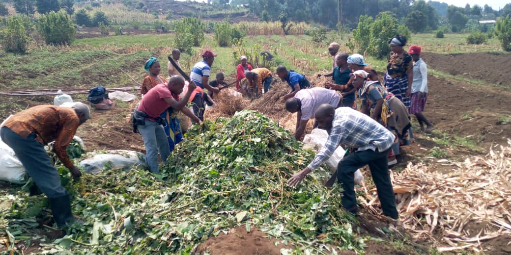 Farmers' Potato Academy (FPA) in Rwanda tweet media