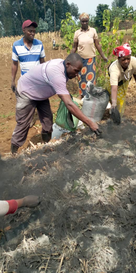 Farmers' Potato Academy (FPA) in Rwanda tweet media