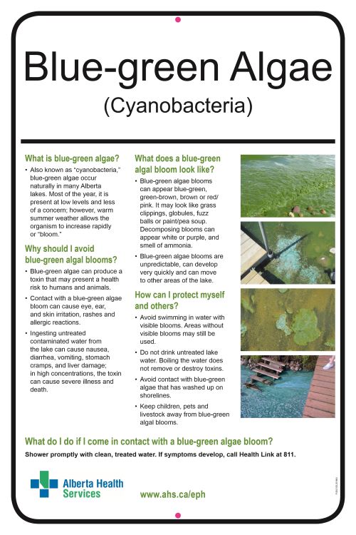 Alberta Beach tweet media