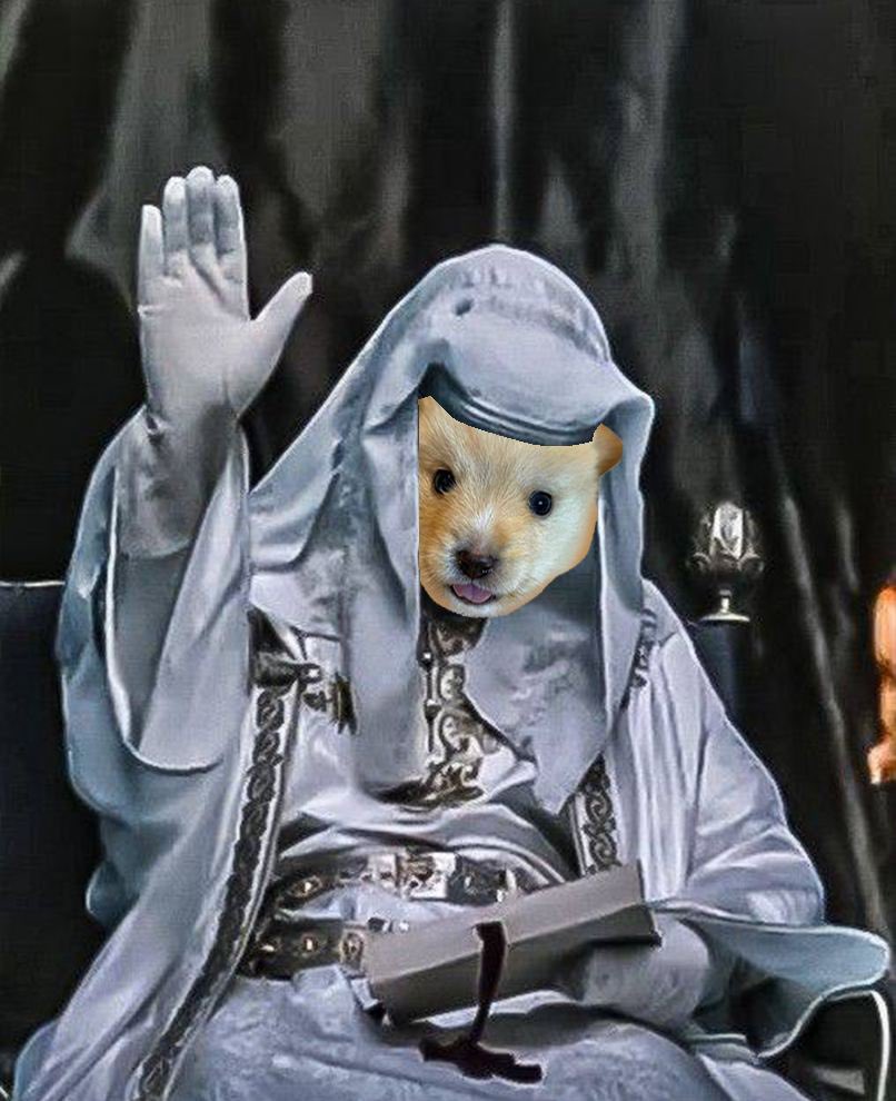 boppychad's tweet photo. @OnlyCryptoNate Silence. $BOPPY higher https://t.co/4L39ZEE420
