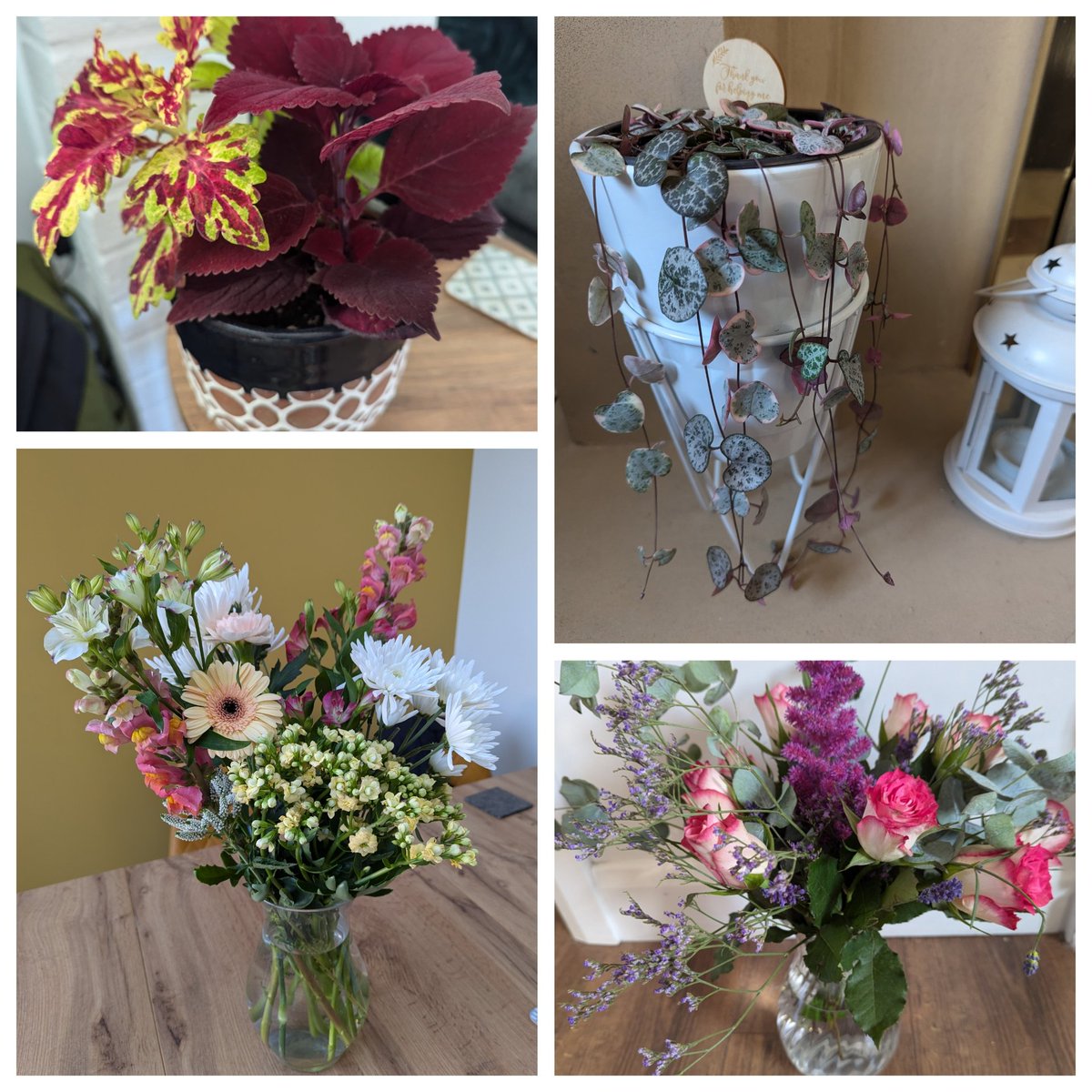 After 12 years of teaching, with a decade at the same school, today I said my goodbyes. It's been emotional, but I am so excited for my new role at Dr Frost Learning and cannot wait to join the team full time!