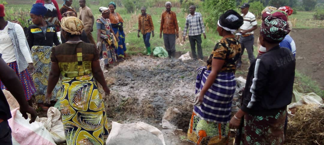 Farmers' Potato Academy (FPA) in Rwanda tweet media