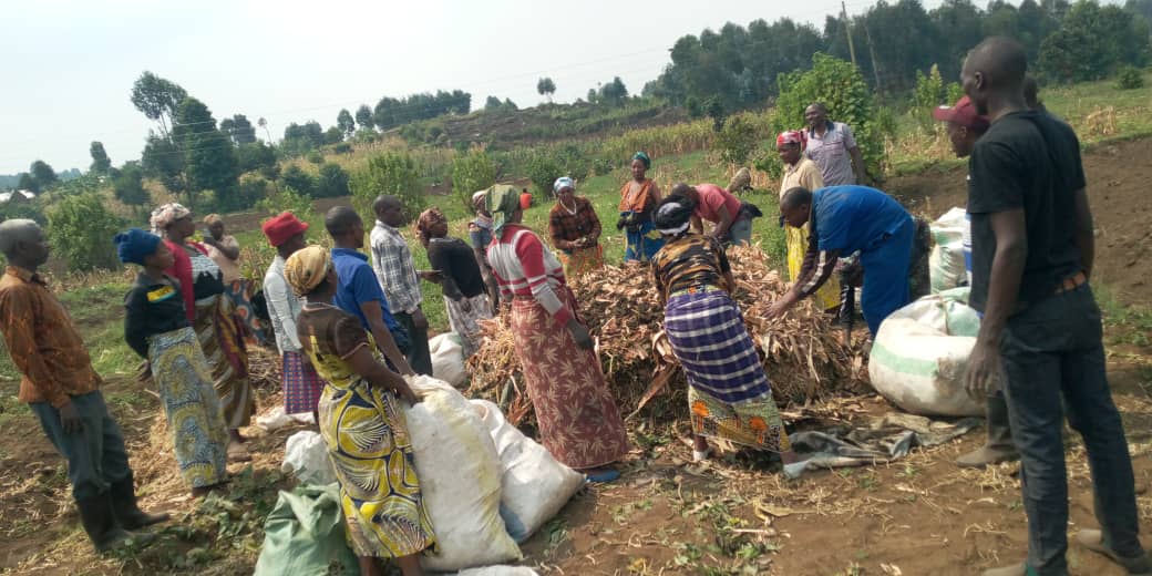 Farmers' Potato Academy (FPA) in Rwanda tweet media