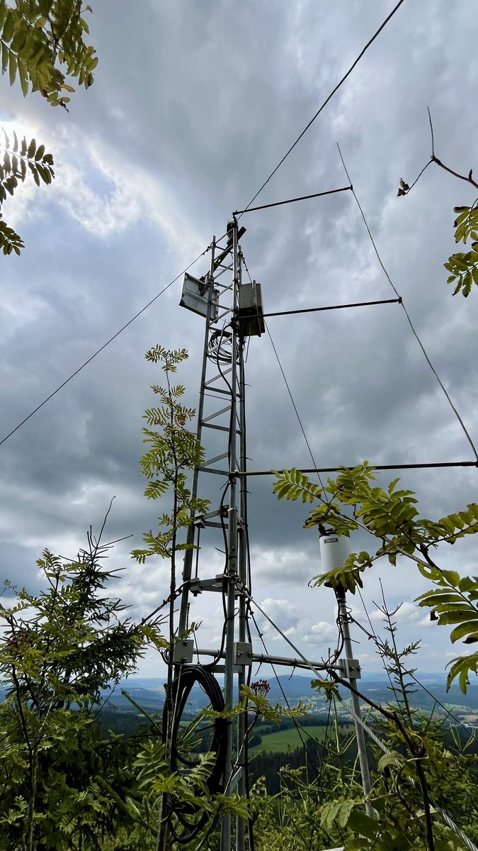 BGC Field Experiments tweet media