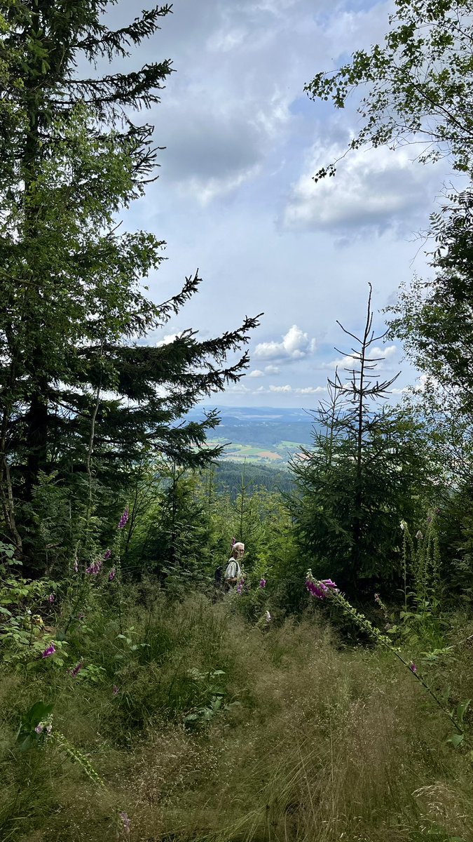 BGC Field Experiments tweet media