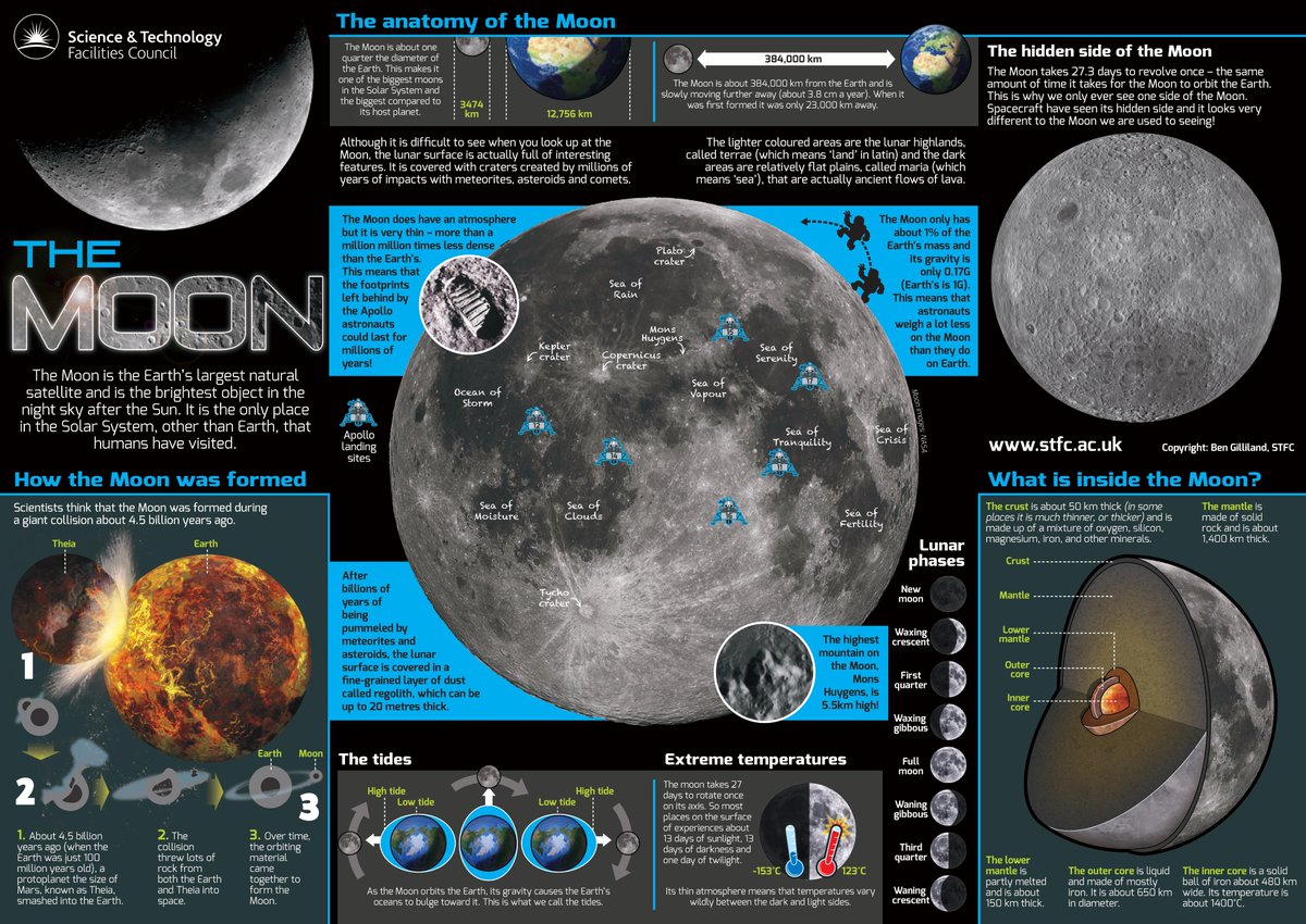 Dr Dan Jones tweet media