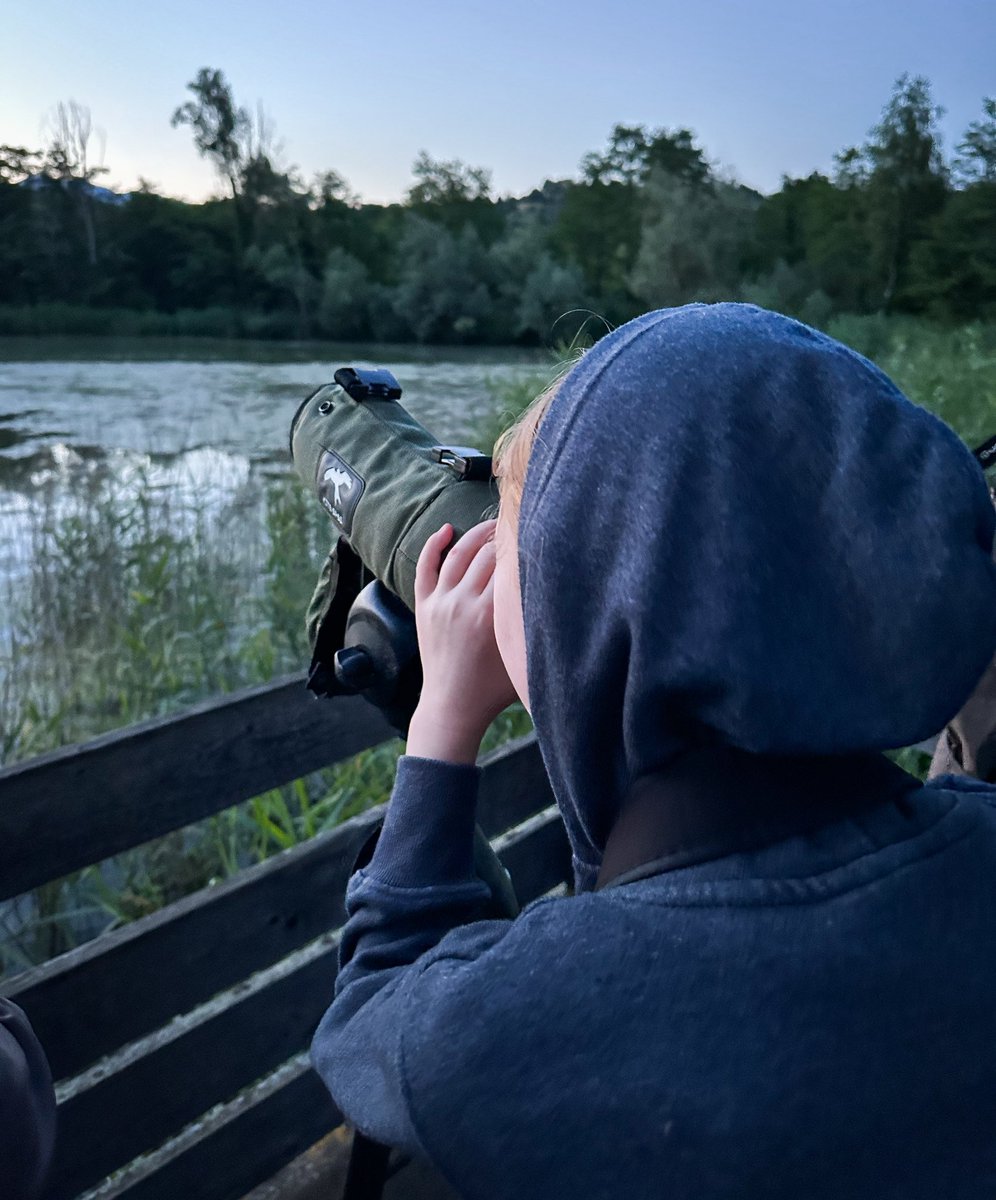 A_Purcell's tweet photo. Been learning about beavers in the #paysdegex. Didn’t spot any unfortunately, but did see some coypu. https://t.co/KJD9XzFCAb
