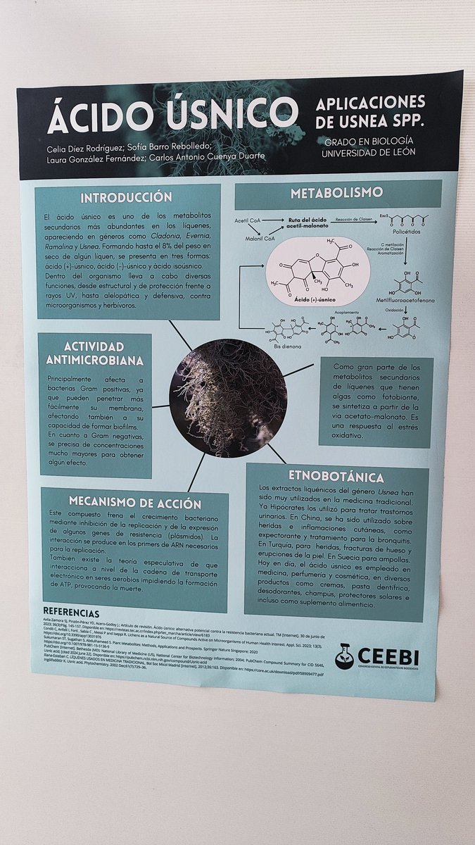 sofiabarroo_'s tweet photo. mira mamá hemos presentado un póster en mi primer congreso :)
@BiocienciasGRX 
#CEEBI https://t.co/AgEtT8BMbc