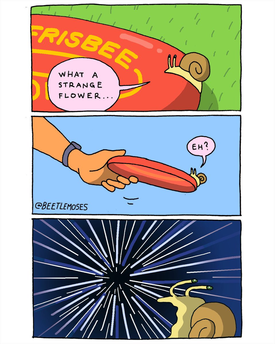 beetle moses (@beetlemoses) on Twitter photo 