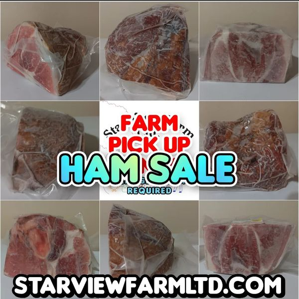 StarViewCrypto's tweet image. All #Ham, #HamSteak, #HamHocks &amp;amp; Bones are on sale now!
30% to 60% off
These #Hams, #HamSteaks &amp;amp; #HamHock are #cured and #smoked but not fully cooked.
Frozen foods are farm pick up only at this time.
We accept all types of payments, including #cryptocurrency