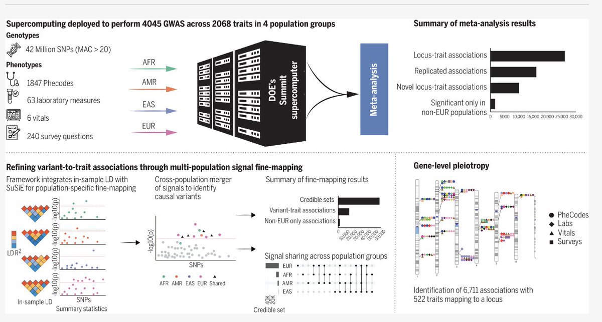 Anurag Verma (@_anuragverma) on Twitter photo I’m thrilled to share that our work from the <a href="/VAResearch/">VA Research</a> is finally out in <a href="/ScienceMagazine/">Science Magazine</a> ! We dive deep into the genetic architecture of 2,068 traits using data from the VA Million Veteran Program, comprising 635,969 Veteran.
science.org/doi/10.1126/sc… I’m thrilled to share that our work from the <a href="/VAResearch/">VA Research</a> is finally out in <a href="/ScienceMagazine/">Science Magazine</a> ! We dive deep into the genetic architecture of 2,068 traits using data from the VA Million Veteran Program, comprising 635,969 Veteran.
science.org/doi/10.1126/sc…