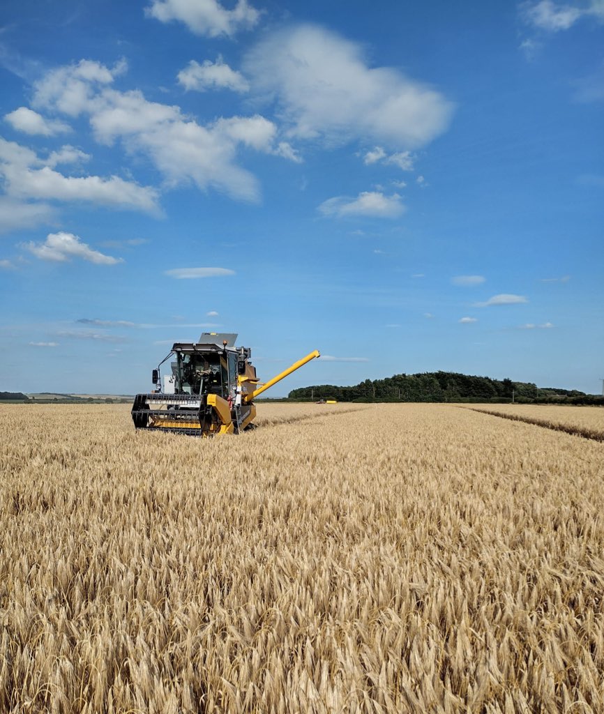 It’s that time of year again! The HM team are out hitting the barley😎🌾 #harvest2024 #arable #uktrials