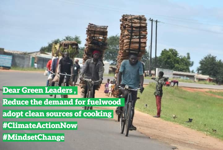 Mwayiwawo Chitsamba tweet media