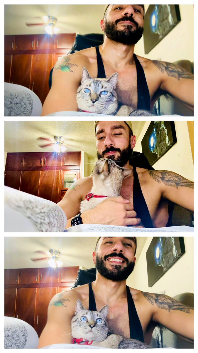 jesustarrega's tweet photo. Hace nueve años llegó Carlitos a mi vida 🐈  ojalá esté muchos más 🥰 https://t.co/HR6m4REIFD