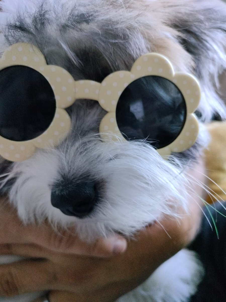 Lulu varautuu aurinkoon.