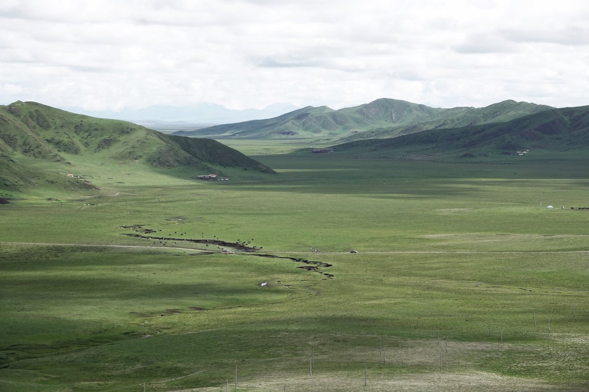 China/Sichuan on the Tibetan Plateau. A tiring early morning at over 3000m searching hills for Tibetan Partridge drew a blank. Later in the day two crossed the road in front of us and posed nicely. <a href="/BirdingSichuan/">Sichuan birding</a>