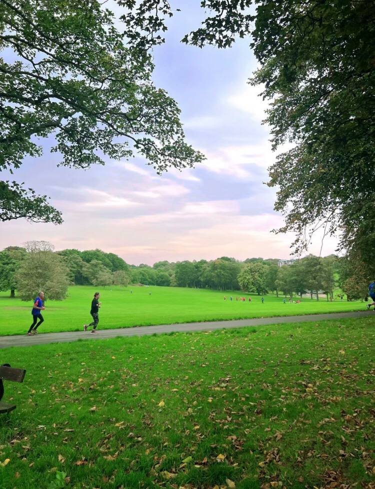Direct ambience with lawn and lake in the background。#take a photograph🇬🇧