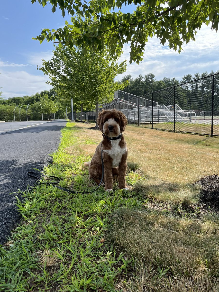 TPDWaffles's tweet photo. Spending time with my Junior Police Academy friends today, while the Fire Department provided hands-on demonstrations. #tewksbury #juniorpoliceacademy https://t.co/xEXimKaJRY