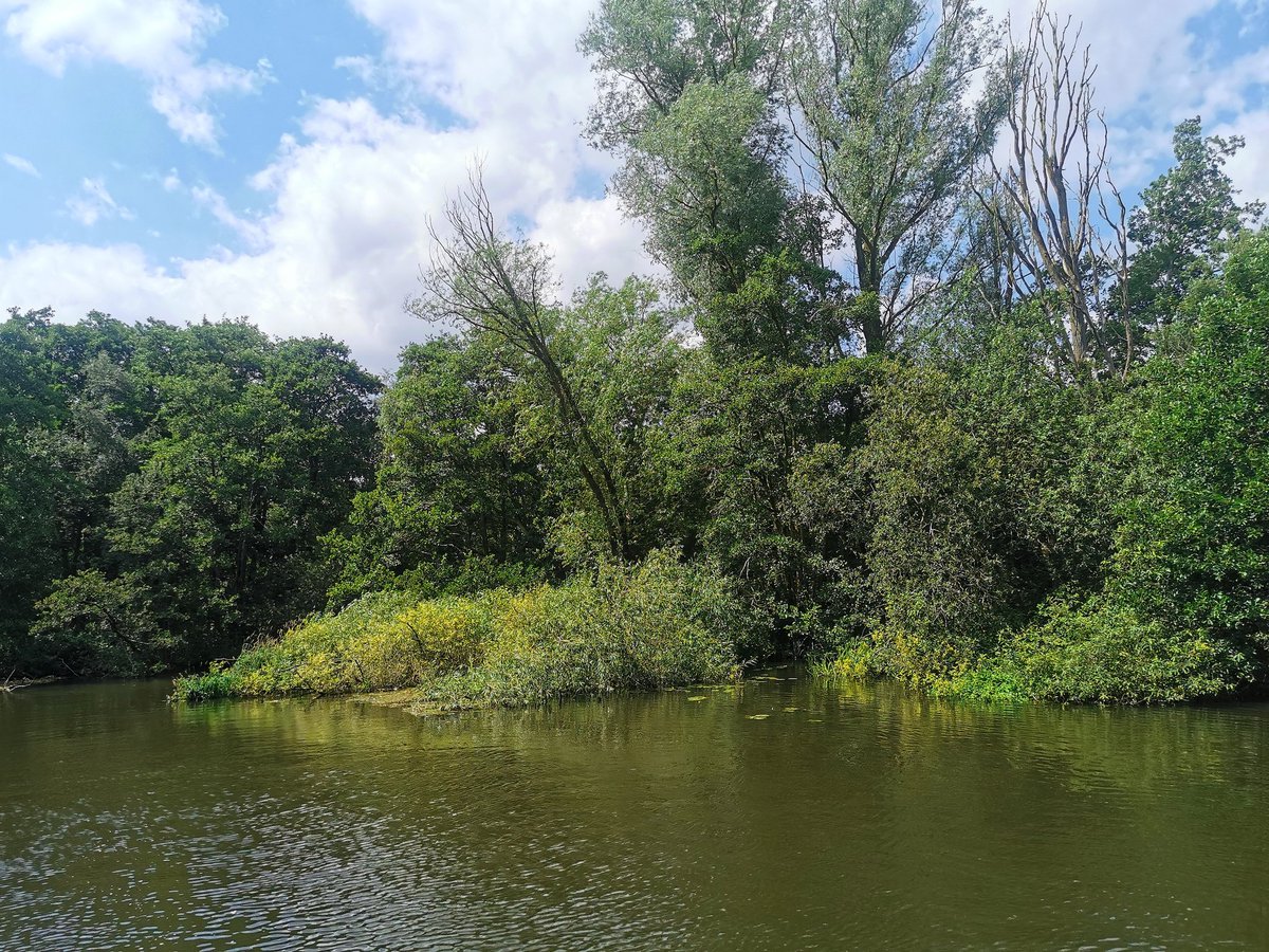 Anna Blackett tweet media