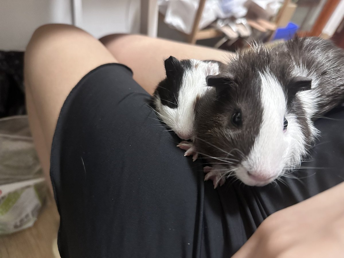 黄推福利内容 - 炉的精彩图片 福利姬炉分享的黄推图片4 - 网红私拍内容