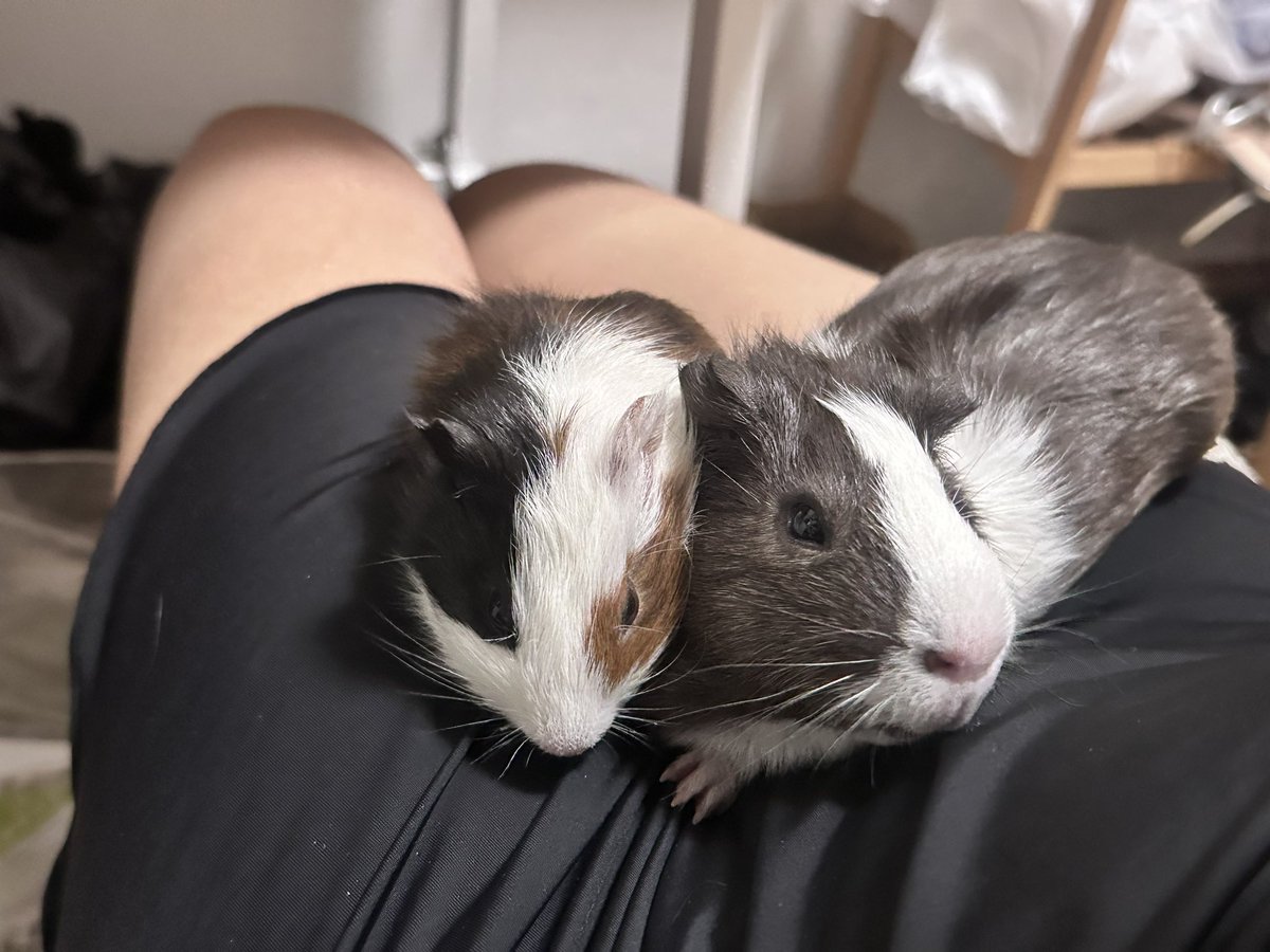 黄推福利内容 - 炉的精彩图片 福利姬炉分享的黄推图片3 - 网红私拍内容