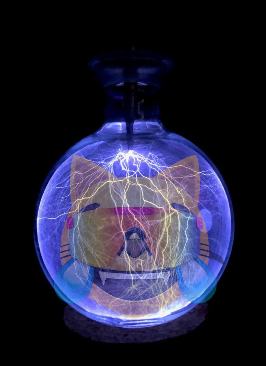 Mog is lightning in a bottle 🫵😹