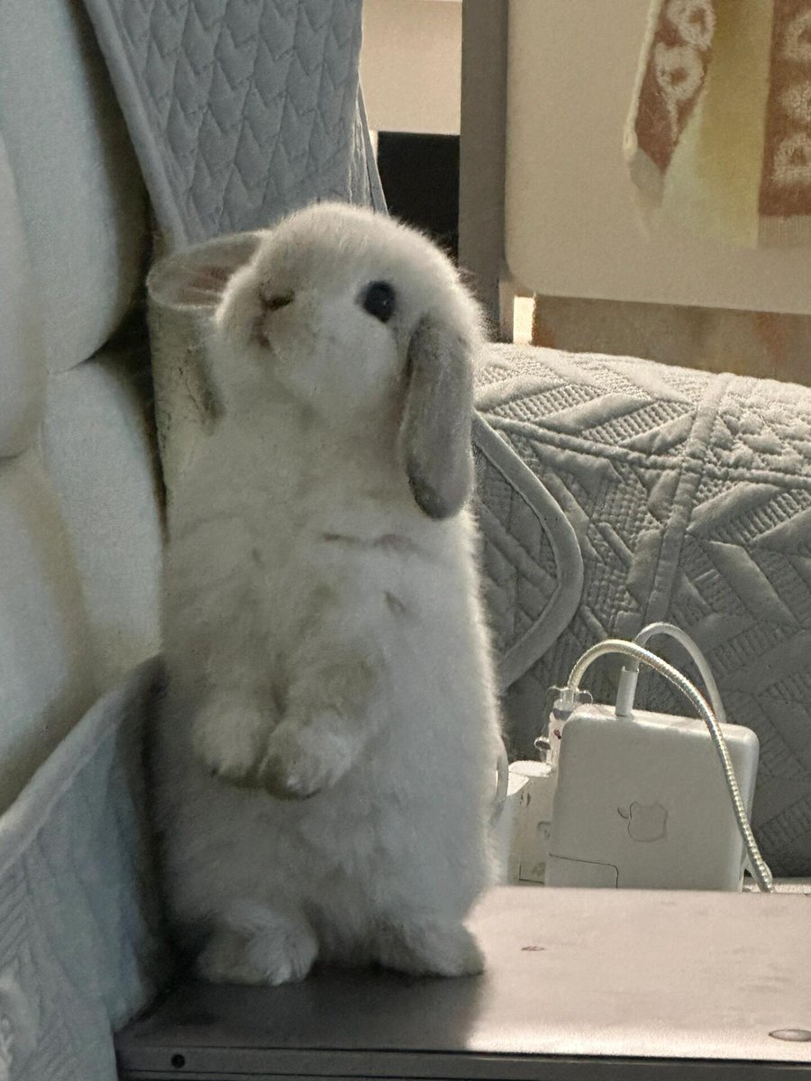 Laughingpearw's tweet image. The sun is strong and the water is gentle