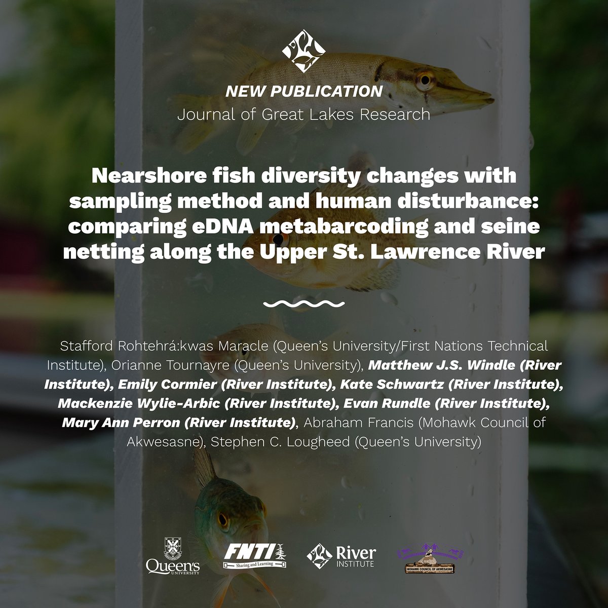📣New publication alert!
Are you curious how many fish species can be found in the shallow waters of the #USLR? Advancements in monitoring technology, such as eDNA, have provided new and promising ways to detect fish in the river. 
Read all about it🔗  loom.ly/I4Uu5Mc