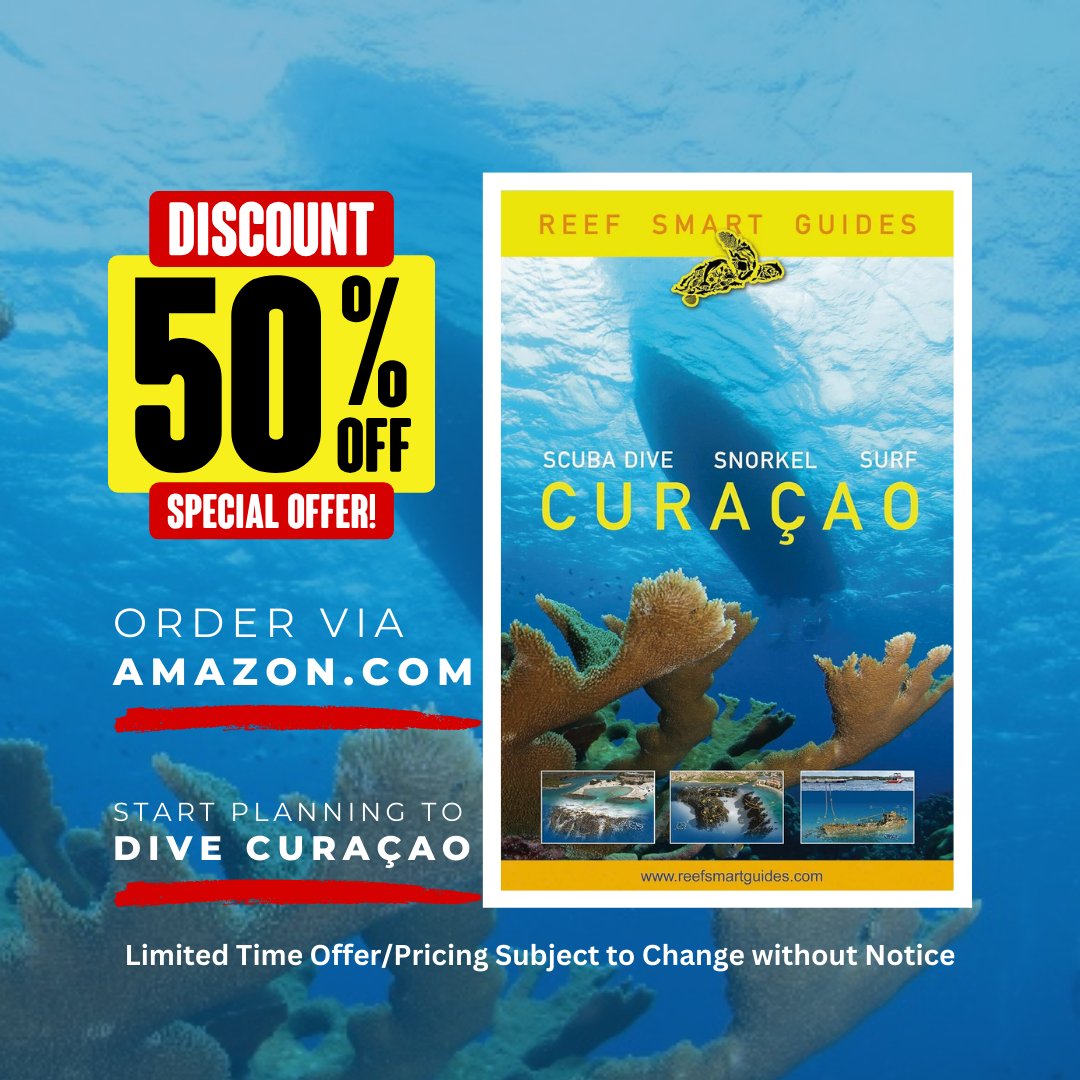 Dive News Curacao (@scubacuracao) on Twitter photo ✅Dive into savings!🐠Enjoy 50% off the Curaçao Reef Smart Guide. 👇Order today & start planning to Dive Curaçao!👌divecuracao.info/curacao-diving… 🤿 #scubadiving #diving #diveguide #curacao <a href="/ReefSmart/">Reef Smart Guides</a> <a href="/CuracaoTravel/">Curaçao Tourist Board</a> ✅Dive into savings!🐠Enjoy 50% off the Curaçao Reef Smart Guide. 👇Order today & start planning to Dive Curaçao!👌divecuracao.info/curacao-diving… 🤿 #scubadiving #diving #diveguide #curacao <a href="/ReefSmart/">Reef Smart Guides</a> <a href="/CuracaoTravel/">Curaçao Tourist Board</a>