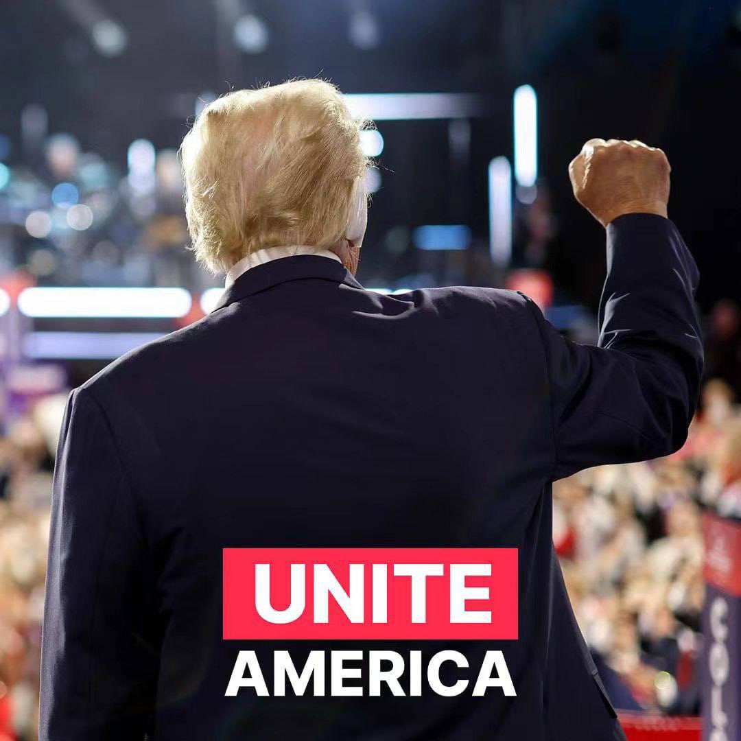 Satoshi Shiller tweet media