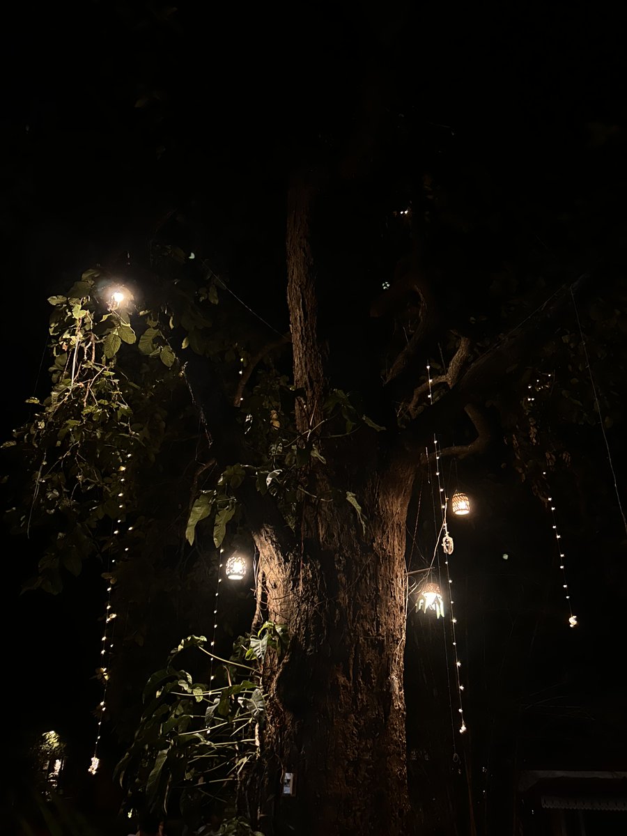 apri™ is home ✨ tweet media