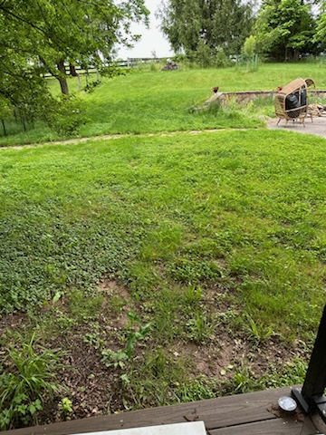 A Plus Landscaping tweet media