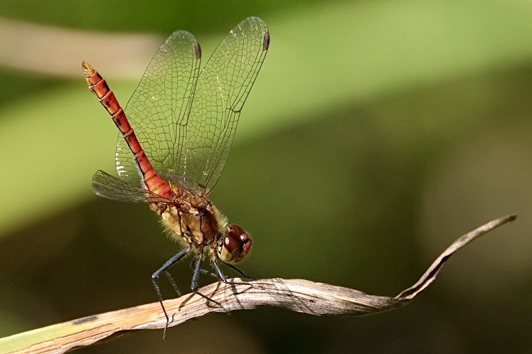 Heather England tweet media