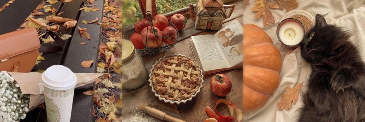 mazzystrfangirl's tweet photo. 🍂 why u should starve until fall/autumn : 

a thinspo thread for edtwt 🧵 

#edtwt #ricecaketwt #thinspo https://t.co/zKJrBXqVnc