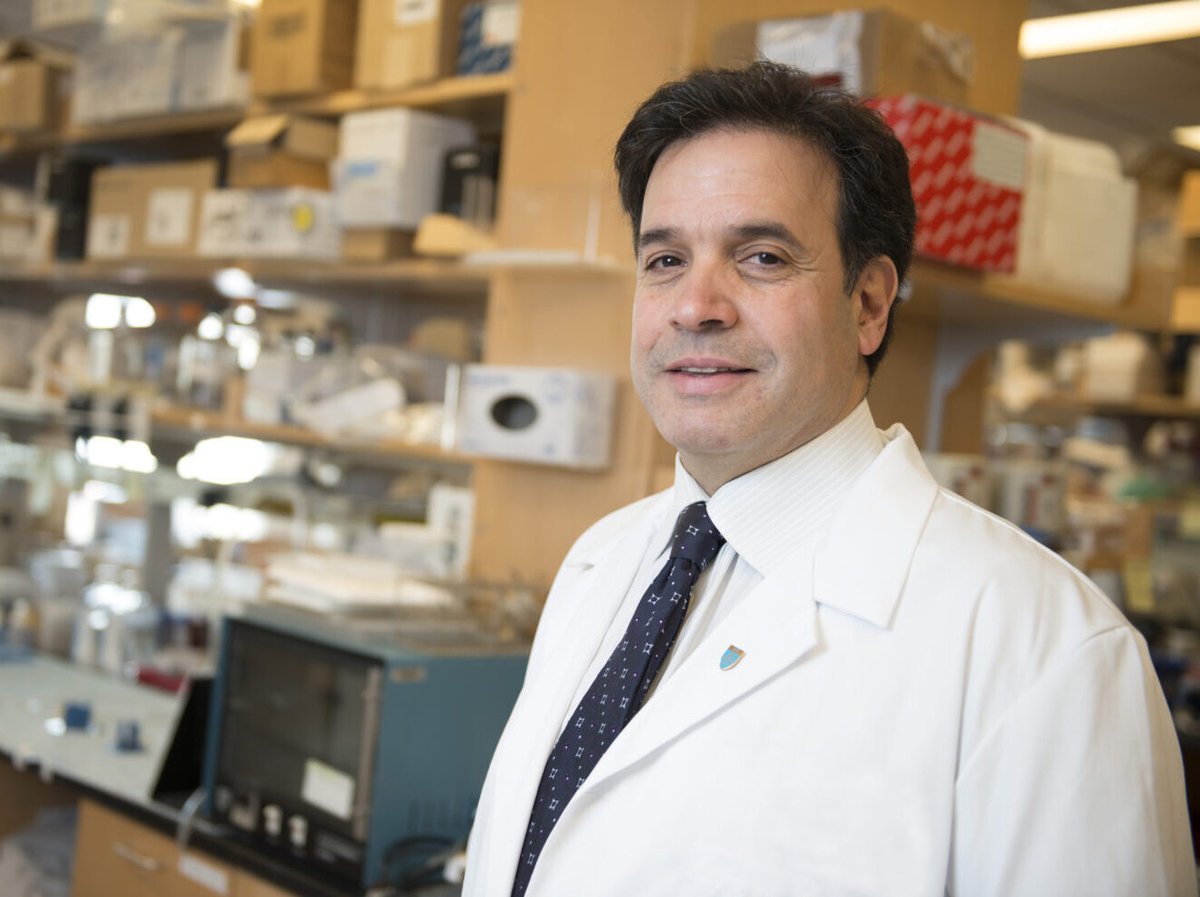 Thanks to the work of <a href="/RudyTanzi/">Dr. Rudy Tanzi</a> and his team at <a href="/MGHNeurology/">MGH Neurology</a>, early diagnosis and treatment of Alzheimer’s disease may soon be a reality. spklr.io/6010SdT8 #MassGeneralGiving