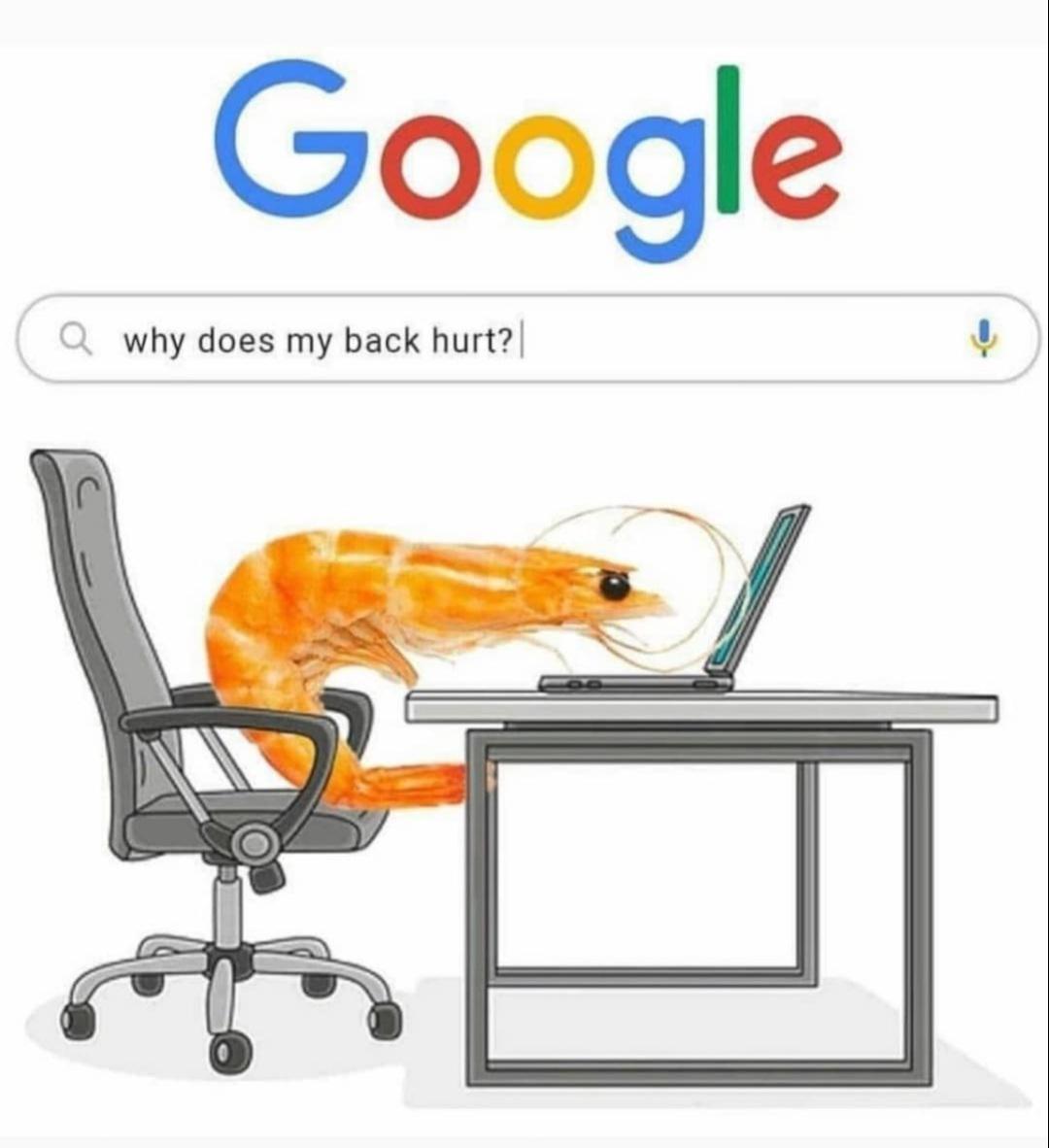 PlainsChiro's tweet photo. 👀 Your chiropractor is watching 😂

https://t.co/uebVc2rzrv https://t.co/HbwaCJFfo0