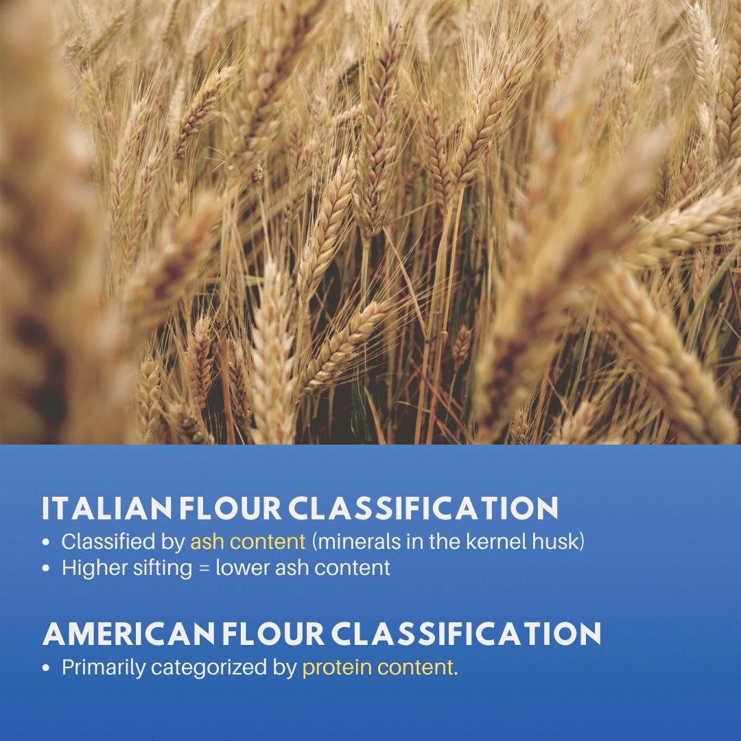 PizzaUniv's tweet image. 🌾✨Perfect for more than just pizza and pasta, Caputo's finely ground 00 flour is your go-to for breads, pastries and pies.

Continue reading: ow.ly/SUpE50SEpau

#ooflour #Caputo #Italianflour