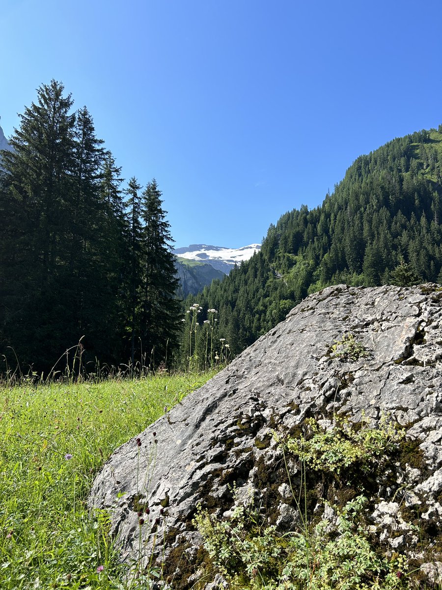 lienert's tweet photo. Exploring the #beauty of the #Alps

#water #snowmelt #hydrology #icemelt #streams #mountains #nature #pristine 

@MySwitzerland_e @MySwitzerland_d @AlpenclubSAC @BernerOberland @bafuCH @LesPaysdenHaut https://t.co/1YZm0lVTnl